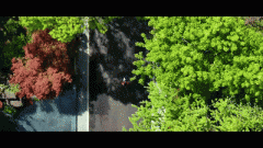 <strong>正在一般砖混布局衡宇</strong>